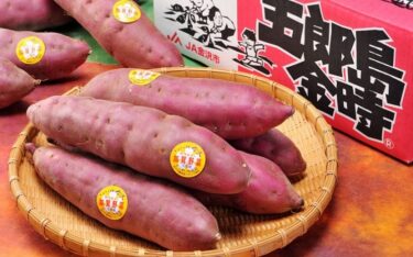 Goroshima Kintoki Wins the “Japan Sweet Potato Summit”! Congratulations to Goroshima Kintoki for being number one in Japan! 【Kanazawa Topic】