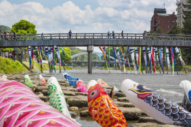 「Carp Streaming at Asano River」 in Hashiba-cho, Kanazawa will be held on May 4. The forecast is 「sunny and cloudy」 【Kanazawa Event】