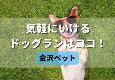 Dog-run Kanazawa, where you can easily play with your dog, is located in Saidamachi-bo! 【Kanazawa Pet】