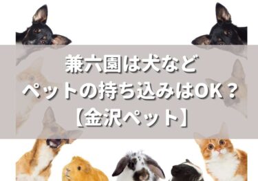 Are dogs and pets allowed in Kenrokuen Garden?【Kanazawa Pet】