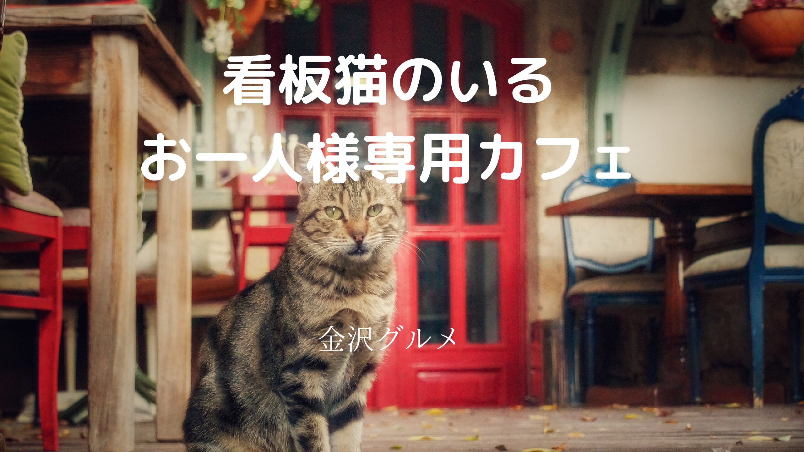 A one-person-only cafe with a signature cat! 【Kanazawa Gourmet】