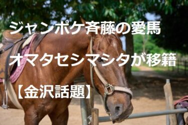 Jean-Paque Saito’s favorite horse, Omataseshimashita, moved to Kanazawa Horse Racing 「The corner fits」 【Kanazawa Topics】