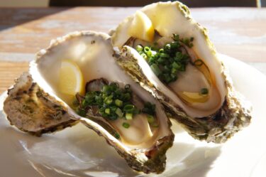 Oyster Bar where you can taste oysters from all over the world and all over Japan 【Kanazawa Gourmet】