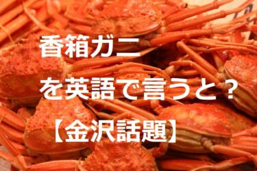 How do you say Kabako crab in English? HAB Morishige Yurisai Announcer on location in the city 【Kanazawa Topics】