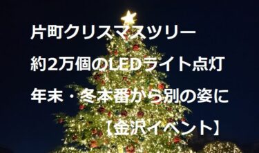 10-meter high giant Christmas tree will be lit up and change its appearance in winter 【Kanazawa Event】