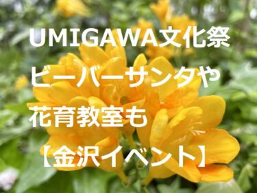 Beaver Santa is coming! 『UMIGAWA Cultural Festival 2022』 「Flower Education Class」 for Junior High School Students and Younger 【Kanazawa Event】
