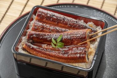 Eel vending machine appears in Kanazawa City!? Is 「Unakabachan」 a fish paste? 【Kanazawa Opening】