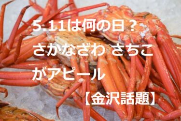 What are 「Sachiko Sakanazawa」 and 「Riitakun」 appealing on “Local Character Day”?【Kanazawa Topics】