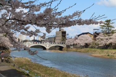 下新町・泉鏡花記念館で開催中の企画展「鏡花繚乱―絵師たちの挑戦」に山本タカトさんらの作品が集結【金沢イベント】