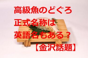 のどぐろの正式名称は？浜崎美保が“音旅”で近江町市場を紹介【金沢話題】