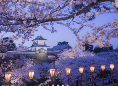兼六町で「金沢城・兼六園四季物語（観桜期）2022」が開催されるよ【かなざわイベント】￼