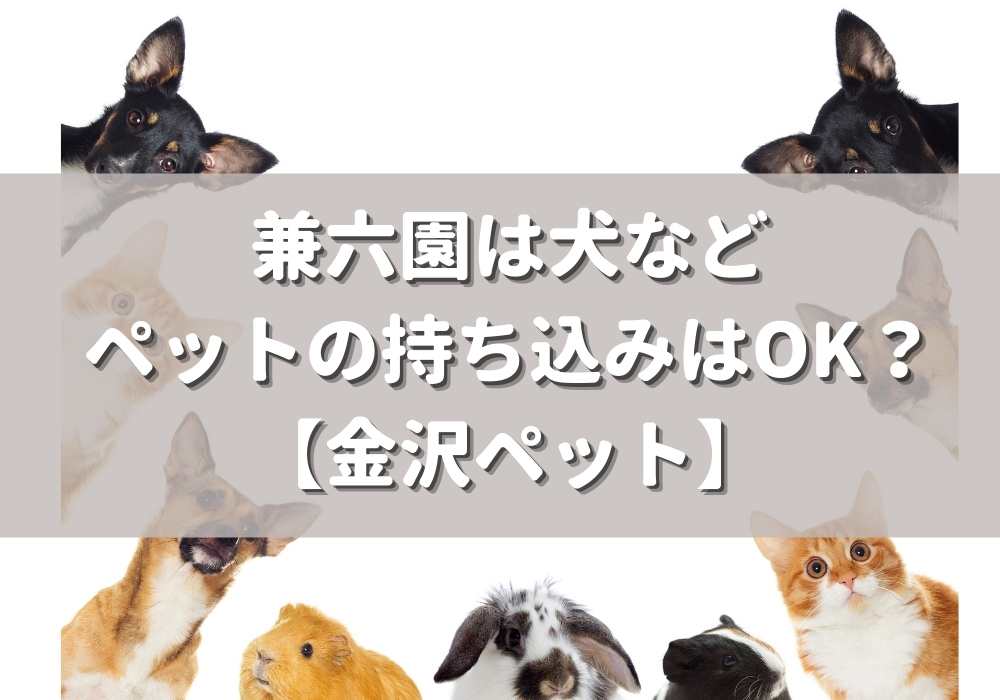 兼六園に犬 ペットの持ち込みはok 金沢ペット 金沢ナウ