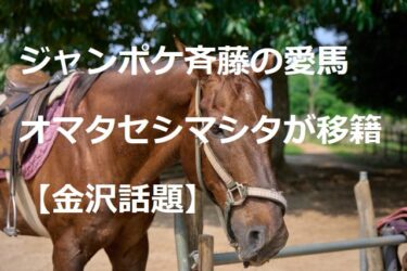 ジャンポケ斉藤の愛馬・オマタセシマシタが金沢競馬に移籍「コーナーが合う」【金沢話題】