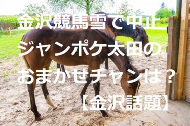 金沢競馬クリスマスは降雪のため開催せず、ジャンポケ斉藤の愛馬・オマタセちゃんの今後は？【金沢話題】